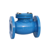 Swing Check Valve Cast Iron ANSI 125LB
