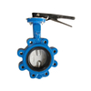 Lug Type Butterfly Valve Cast Iron Pn16 Split Shaft Pinless