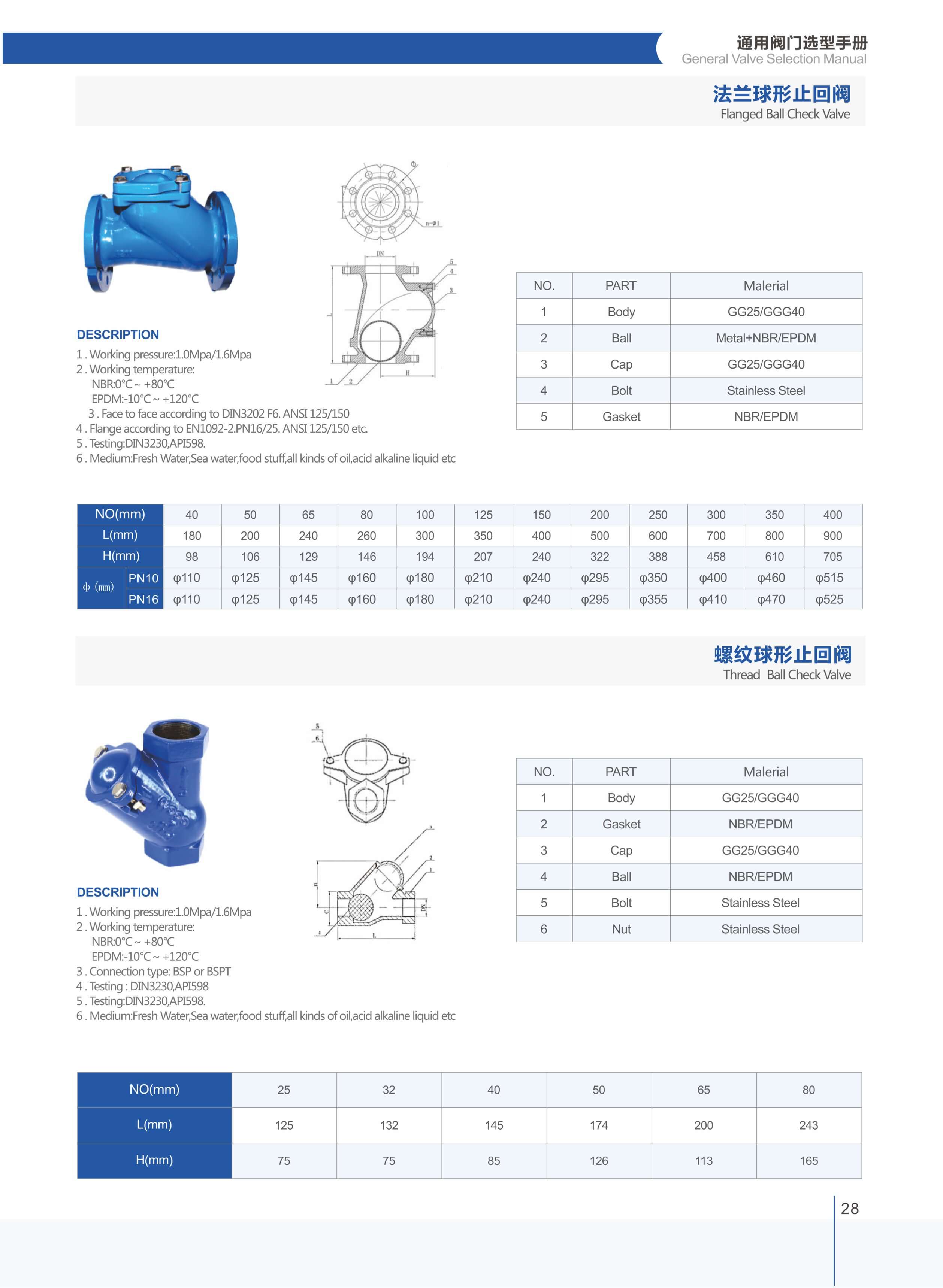 Ball Check Valve (1)