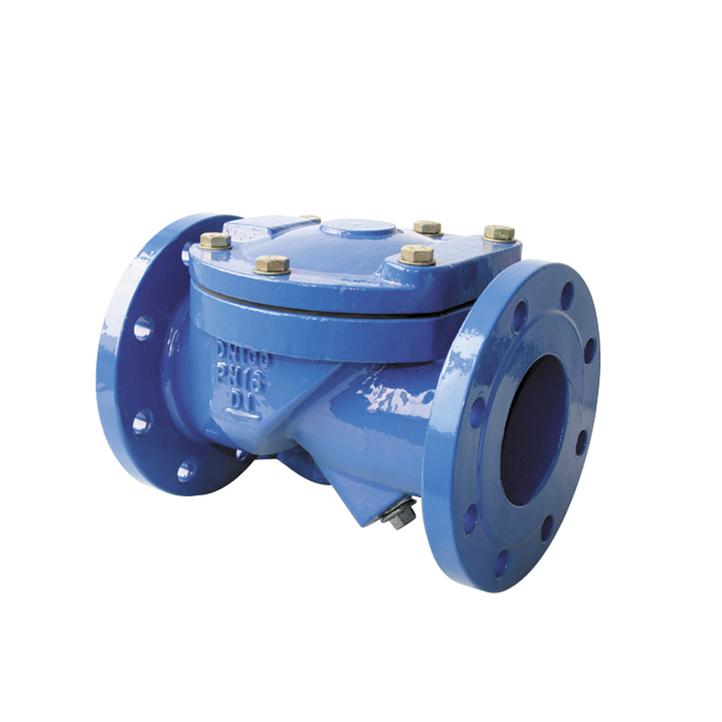 Rubber Wedge Swing Check Valve Ductile Iron PN16