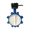 Cast Iron with Ptfe Seat Lug Butterfly Valve 