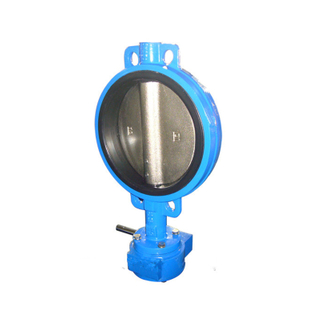 Wafer Butterfly Valve Cast Iron Pn16 with Pin