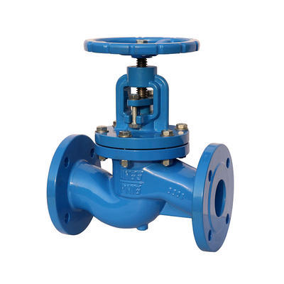 What are the main points of Globe Valve installation？