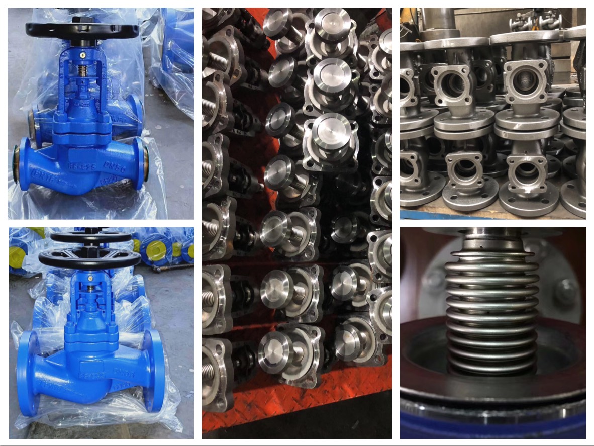 WCB Bellow Seal Globe Valve