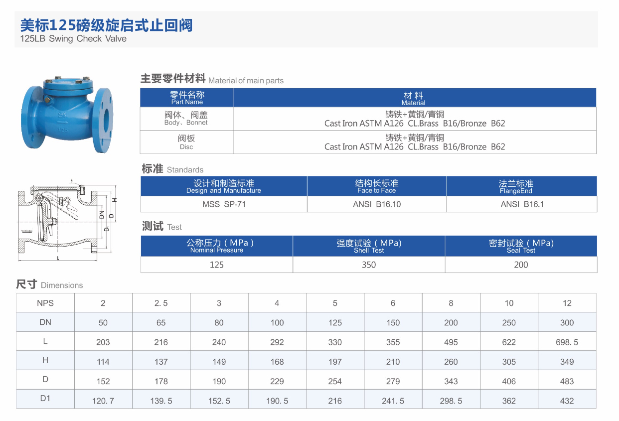 125LB Cast Iron Check Valve