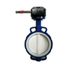 PTFE Seat Cast Iron PN16 Wafer Butterfly Valve 