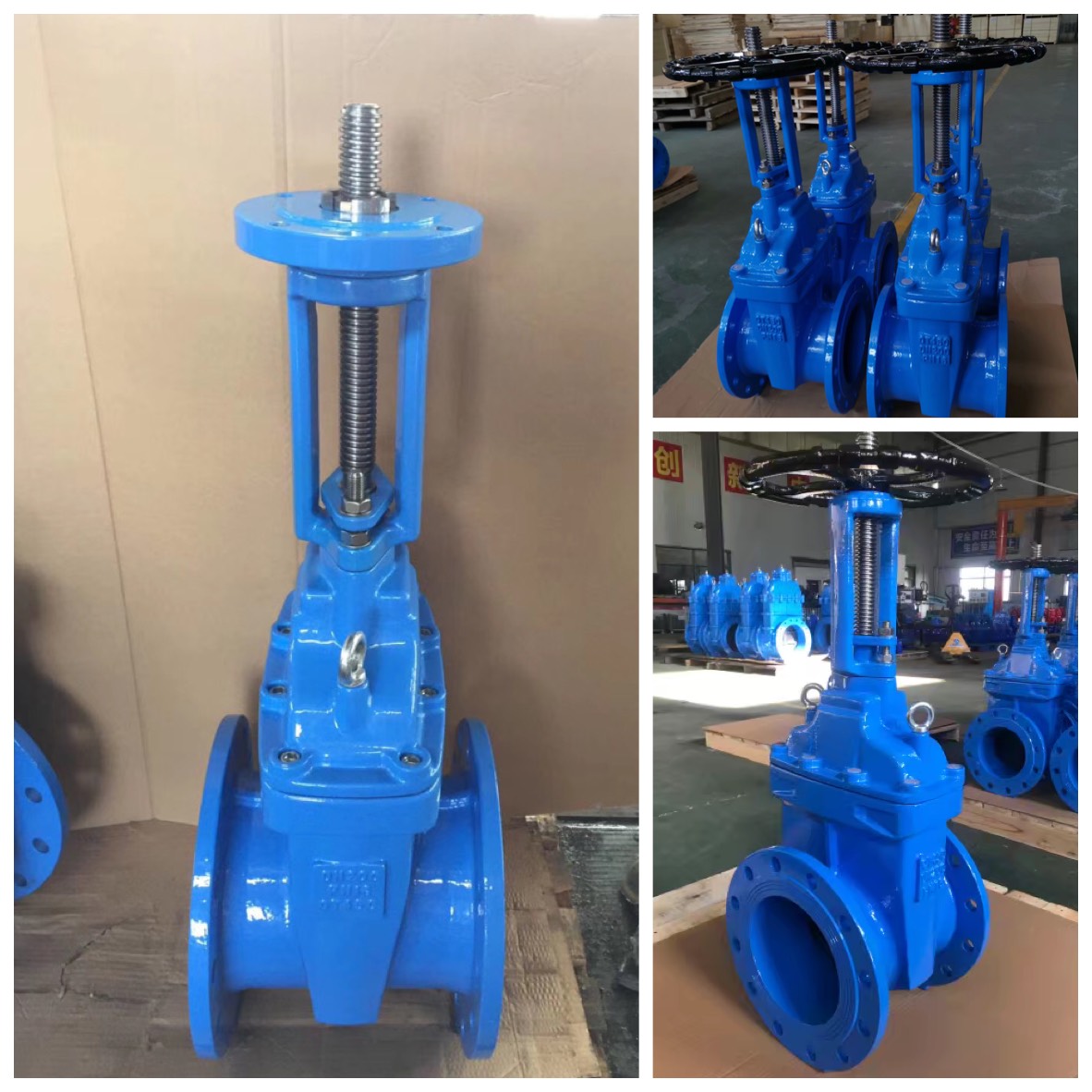 Resilient Seat Gate Valve F4 Ggg50 Rising Stem From China Manufacturer Pg Valves 1080