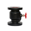 Vertical Check Valve Flange Cast Iron 10K