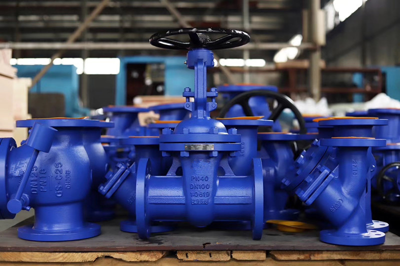 gate valve