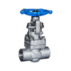 Forged Steel Globe Valve F304 800LB SW Npt 